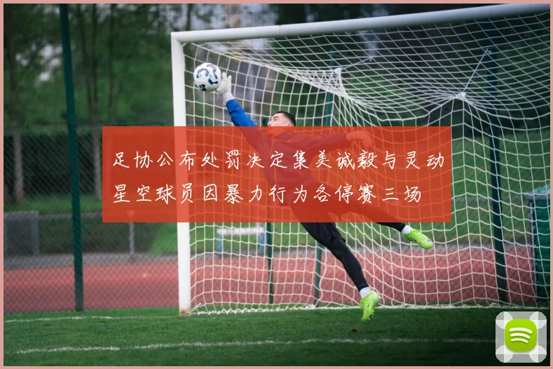 足协公布处罚决定集美诚毅与灵动星空球员因暴力行为各停赛三场
