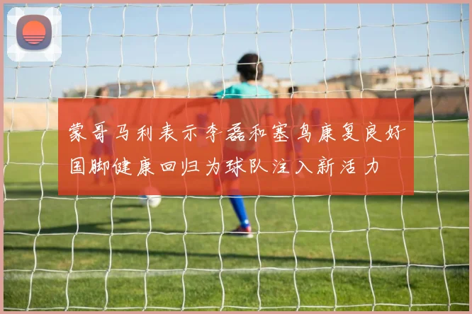 蒙哥马利表示李磊和塞鸟康复良好国脚健康回归为球队注入新活力